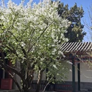 北京旅游 缩略图 14