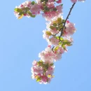 北京旅游 缩略图 9