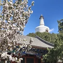 北京旅游 缩略图 16