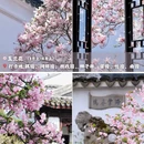 苏州旅游 缩略图 2