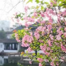 苏州旅游 缩略图 9