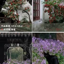 苏州旅游 缩略图 3