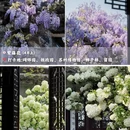 苏州旅游 缩略图 4