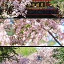 北京旅游 缩略图 1