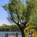 北京旅游 缩略图 18