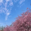 无锡旅游 缩略图 7