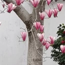杭州旅游 缩略图 2