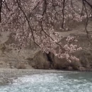 喀什地区旅游 缩略图 5