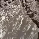 喀什地区旅游 缩略图 7