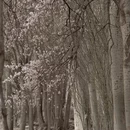 喀什地区旅游 缩略图 8