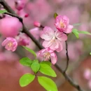 无锡旅游 缩略图 3