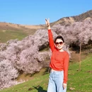 伊犁旅游 缩略图 14