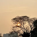 无锡旅游 缩略图 5