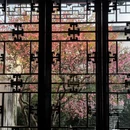 苏州旅游 缩略图 10