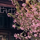 苏州旅游 缩略图 9