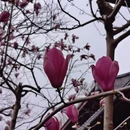 杭州旅游 缩略图 5
