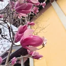 杭州旅游 缩略图 6