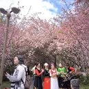 无锡旅游 缩略图 12