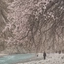 喀什地区旅游 缩略图 2