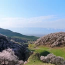 伊犁旅游 缩略图 6