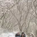 喀什地区旅游 缩略图 3