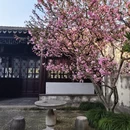 苏州旅游 缩略图 2