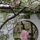 苏州旅游 缩略图 5