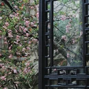 苏州旅游 缩略图 9