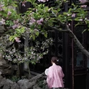 苏州旅游 缩略图 10