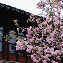 苏州旅游 缩略图 14