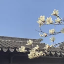 苏州旅游 缩略图 3