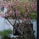 苏州旅游 缩略图 15