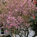 苏州旅游 缩略图 16