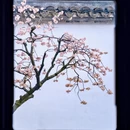 苏州旅游 缩略图 7