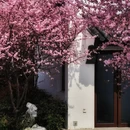 苏州旅游 缩略图 10