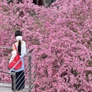 北京旅游 缩略图 1