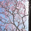 苏州旅游 缩略图 2