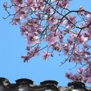 苏州旅游 缩略图 4