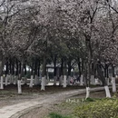 镇江旅游 缩略图 10