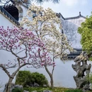苏州旅游 缩略图 1