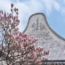 苏州旅游 缩略图 4