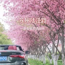 苏州旅游 缩略图 1