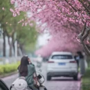 苏州旅游 缩略图 2