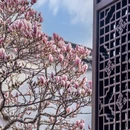苏州旅游 缩略图 5