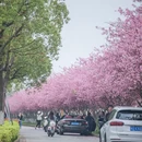 苏州旅游 缩略图 4