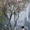 苏州旅游 缩略图 2