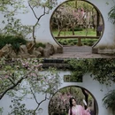 苏州旅游 缩略图 4