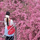 北京旅游 缩略图 4