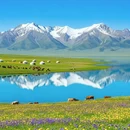 伊犁旅游 缩略图 1