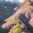 伊犁旅游 缩略图 4